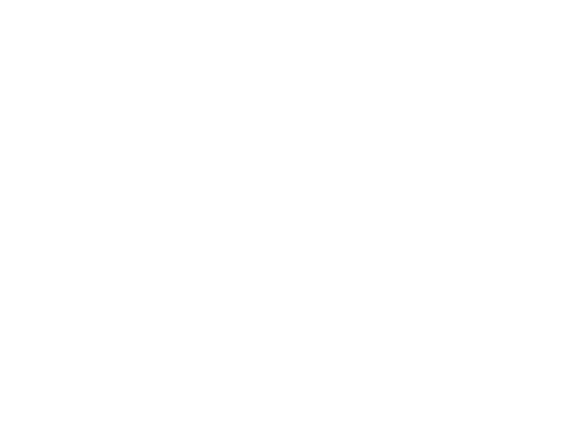 Voltfix Mobile — logo